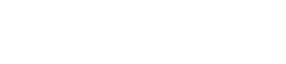Flights and TSA
